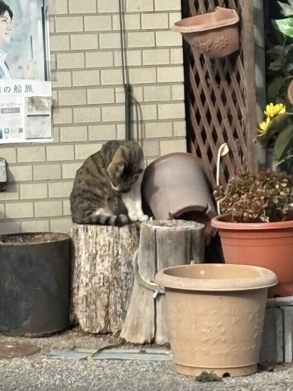 ご予約のMaさま