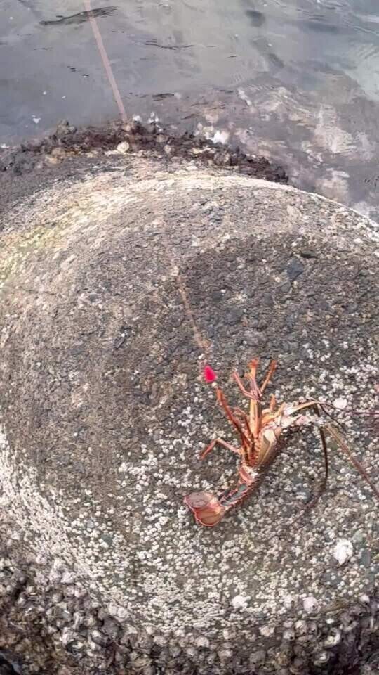 なんで😑😑😑