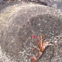 なんで😑😑😑