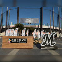 🤍🖤千葉ロッテ〜！🖤🤍