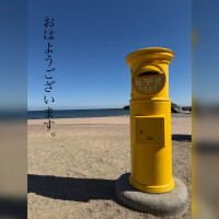 🤍幸せの黄色いポスト🤍