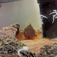 ようやく🥹🤍