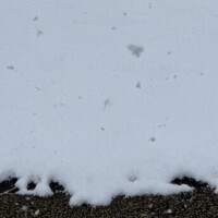 東北出身歩き方講座😖