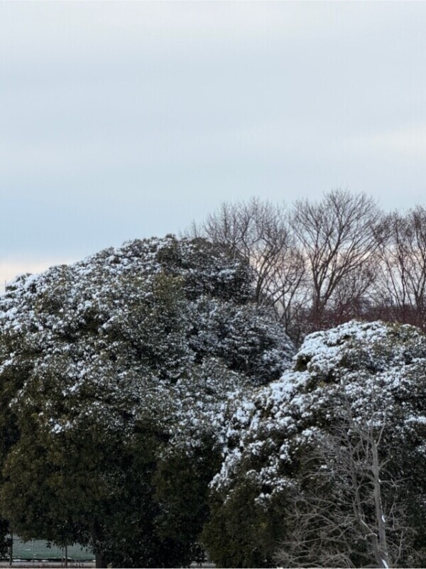 怖かったよォー