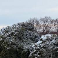 怖かったよォー