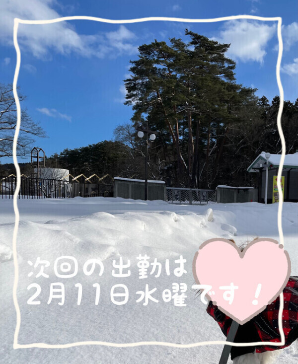 こたつで丸くなりたい