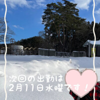 こたつで丸くなりたい