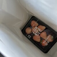 美味しい🍓ありがとう🥹