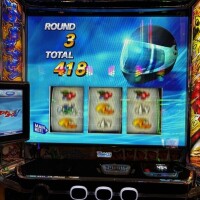 ボートのレース🚣‍♀️