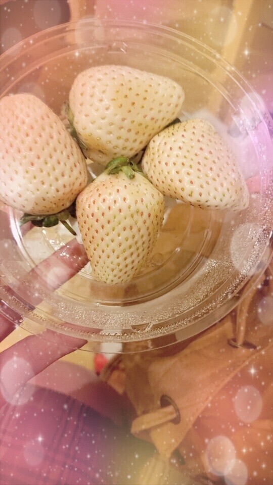 WHITE‎🤍🍓