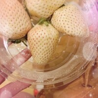 WHITE‎🤍🍓