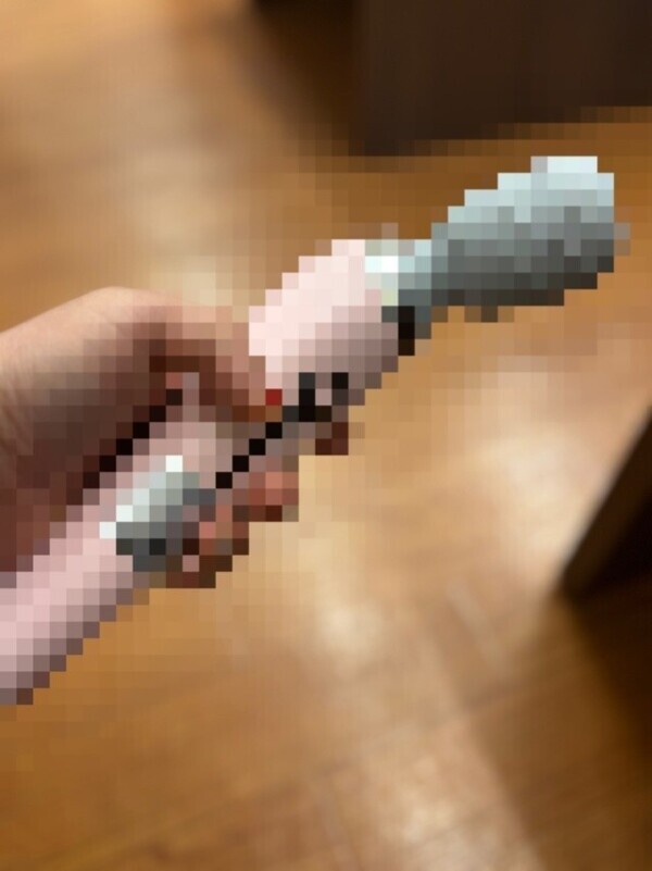 新しいお友達。