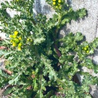 明日のご予約ありがとうございます♡