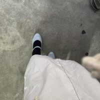 この時期調子崩すよねえ🫨