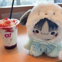 おはようございます🍀