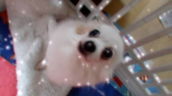 昨日2月20日のお詫びm(_ _)mアクアマリンS様