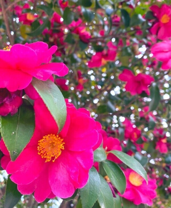 おはようございます♡