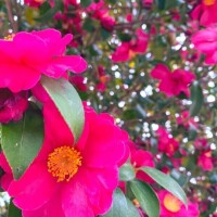 おはようございます♡