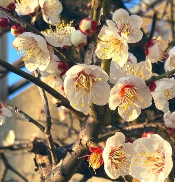 ご予約ありがとうございます♡