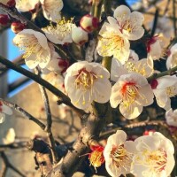 ご予約ありがとうございます♡