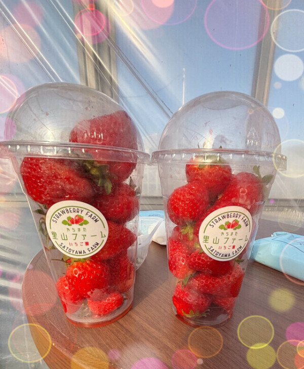 何年ぶりの……いちご狩り🍓🍼·͜·ᰔᩚ🍓🍼