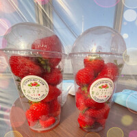 何年ぶりの……いちご狩り🍓🍼·͜·ᰔᩚ🍓🍼