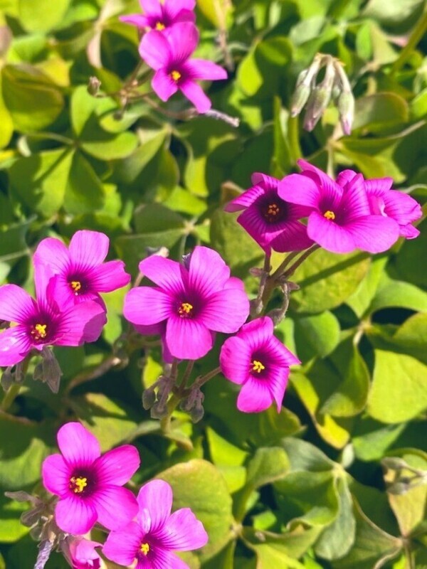 ご予約ありがとうございます♡