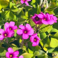 ご予約ありがとうございます♡