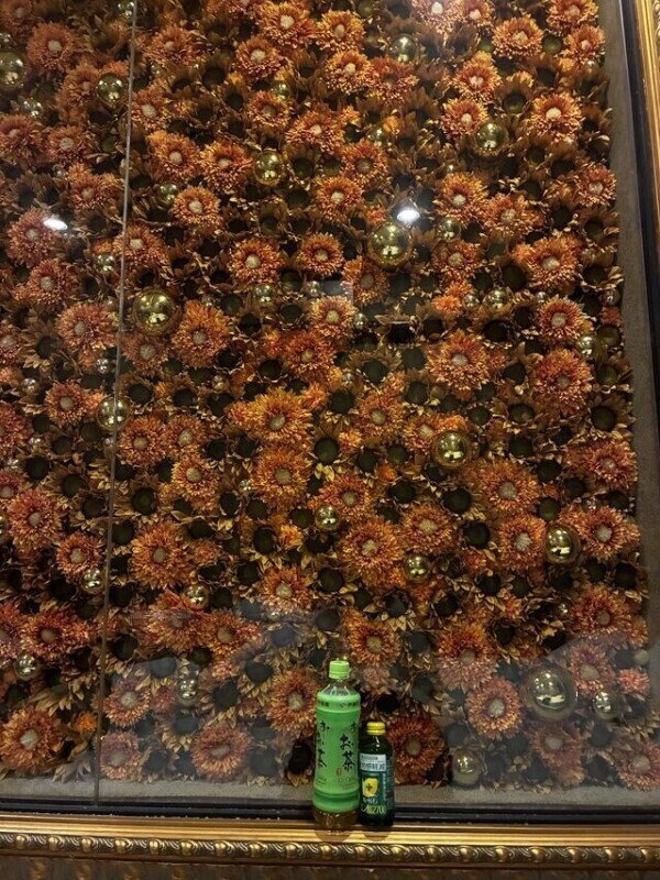 お礼(՞_  ̫ _՞)"新Nさま◡̈⃝˖*