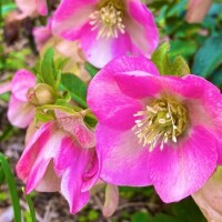 おはようございます♡