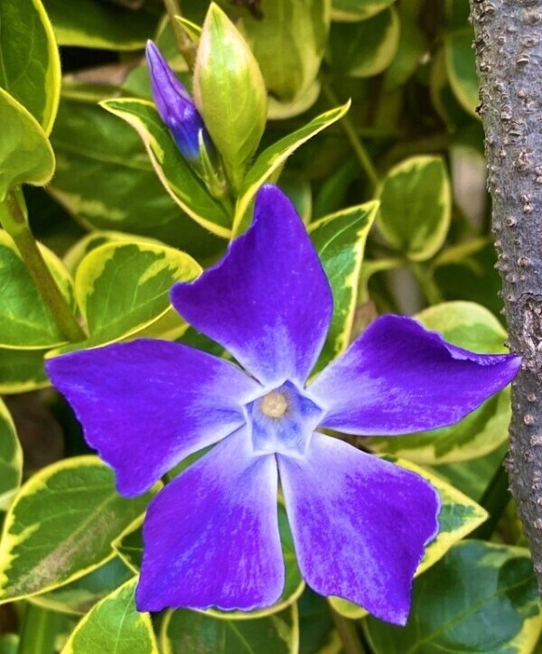 ご予約ありがとうございます♡