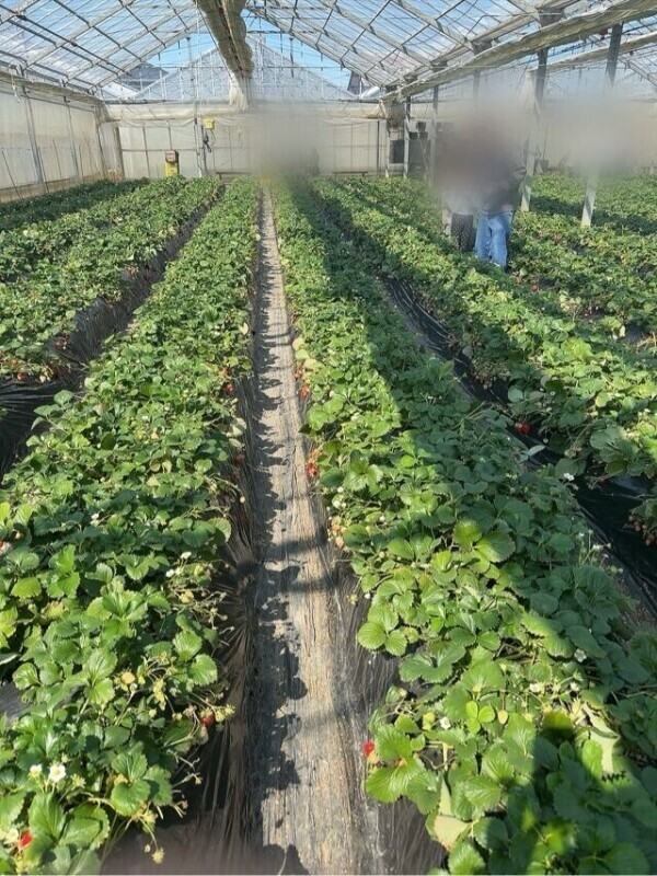 おはようございます