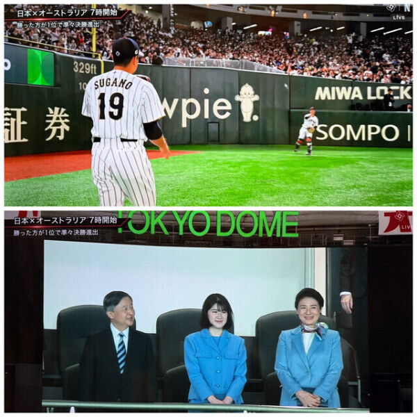 ♥️天覧試合⚾️♥️