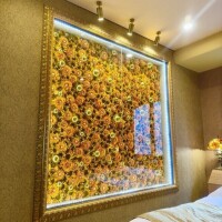 晴れてきましたねえ！