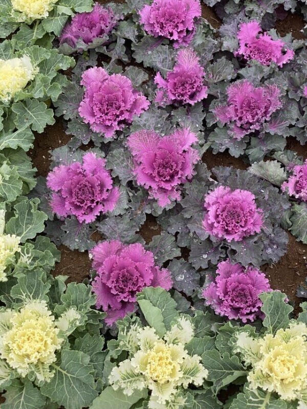 明日のご予約ありがとうございます♡