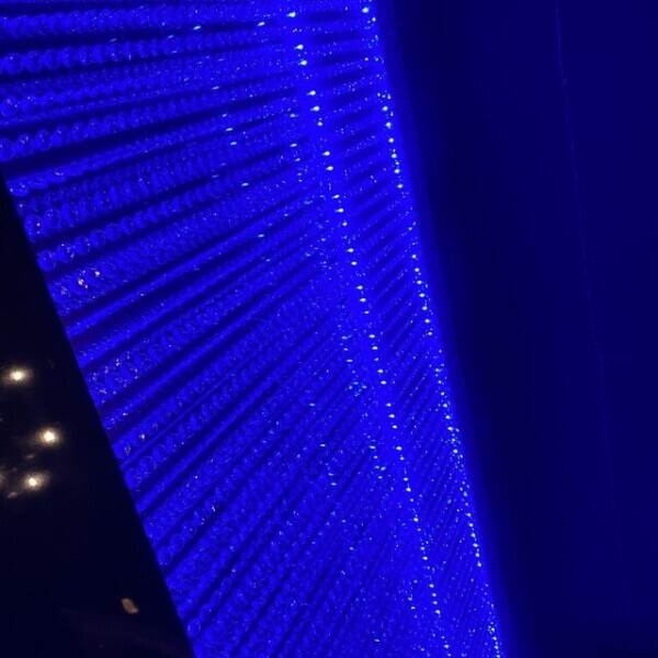 しゅっきん🦖⸒⸒