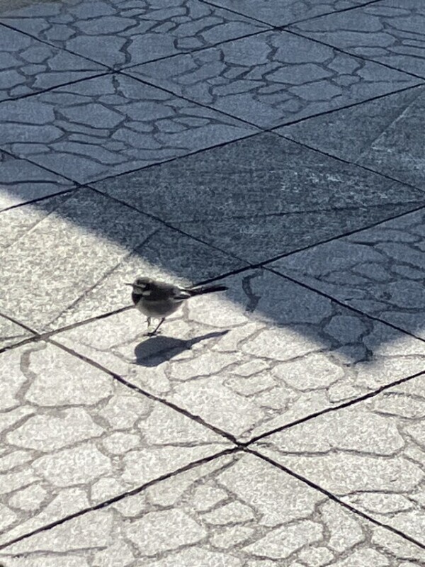 今日お問合せくださった◯◯さん❣️💌