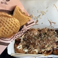 🐢𓈒 𓂂𓏸ﾓｼｼ