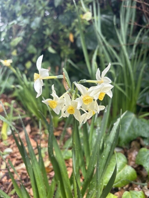 ご予約ありがとうございます＊MRTさま