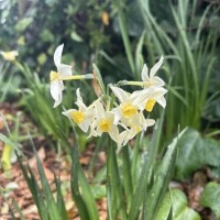 ご予約ありがとうございます＊MRTさま