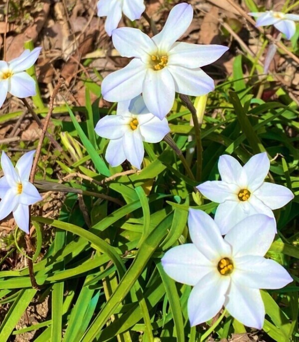 明日のご予約ありがとうございます♡