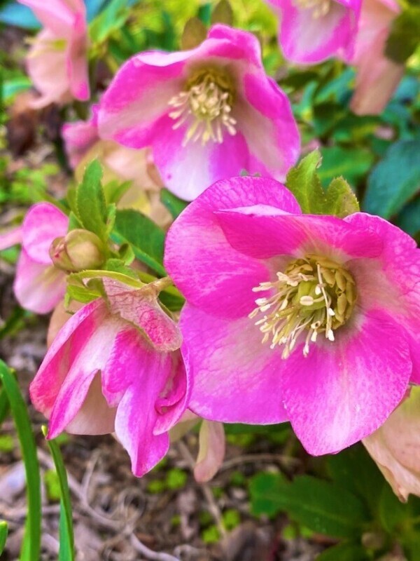 おはようございます♡