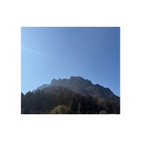 🐣待ってるよお🐣