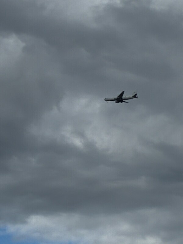 今日のあたし👧🏻‎🥀💔