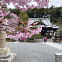 かわいい
