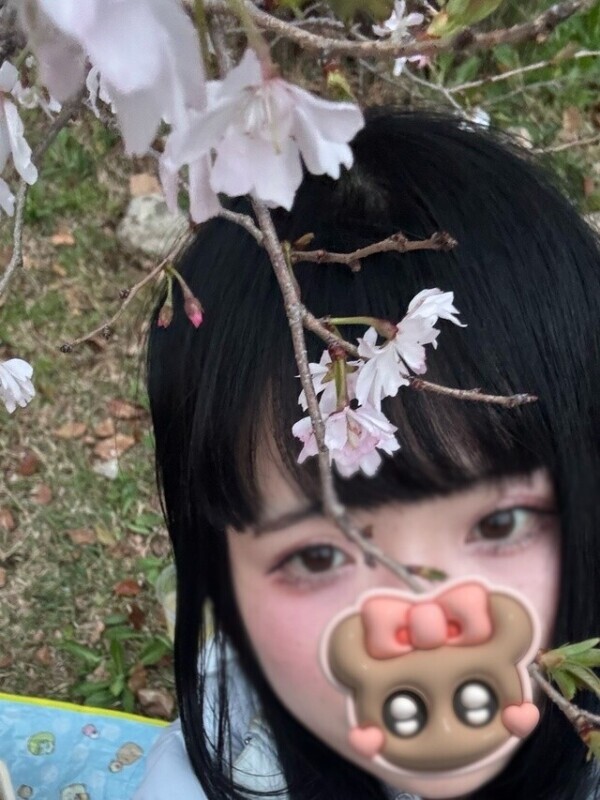 今日はお花見してきた♡🫶🌸