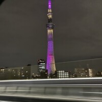 東京タワー🗼