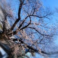 30日がラスト🙌🏻