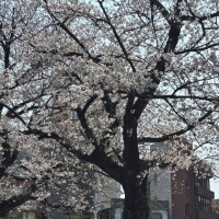 まもなく💞🫶出勤しますよ💞