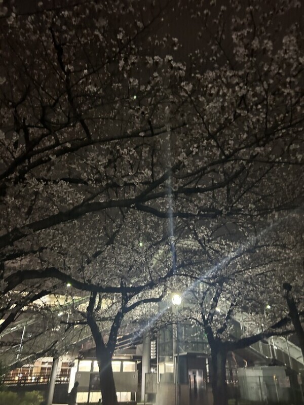 3月も有難うございました！